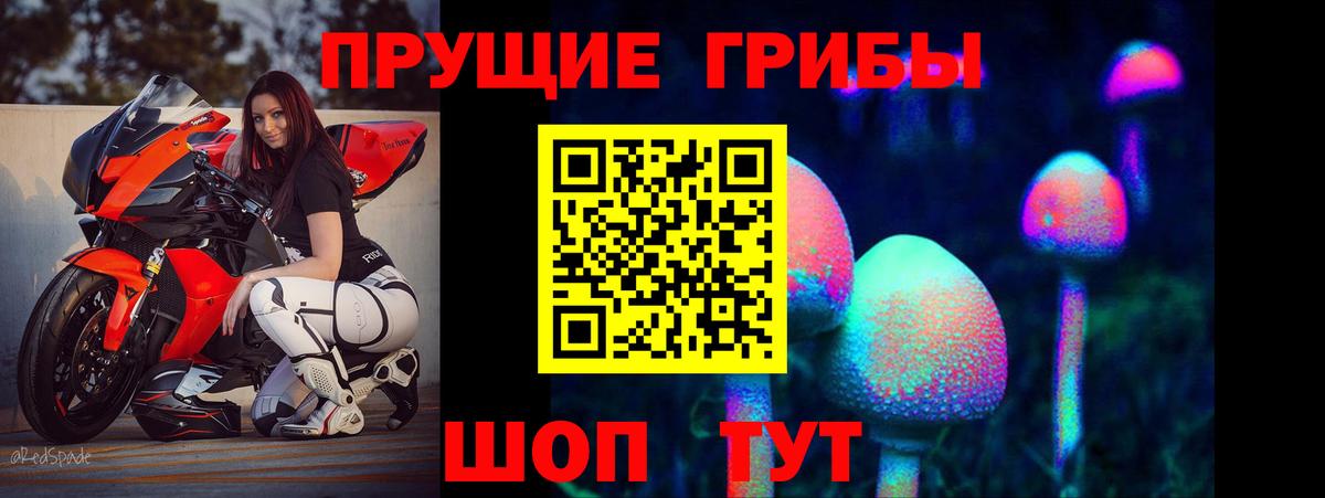 Лысьва  Галлюциногенные грибы Psilocybe  Вход с VPN 