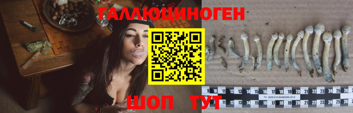 Галлюциногенные грибы мицелий Лысьва